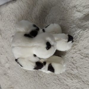 Russ dalmation dot dog